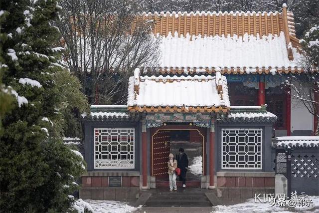 雪落丛台梅更香！