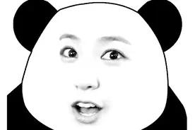 【自制】可爱搞笑的熊猫头表情包（郑秀晶Krystal版1）图片