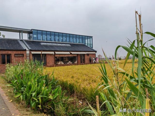 安徽宿州3天2晚自驾，符离大道的皖北多维风情之旅｜附路书及地图