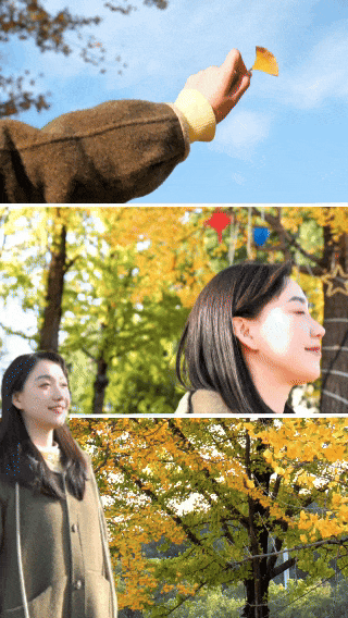 限时绝美！黄石街头颜值巅峰 周末来打卡