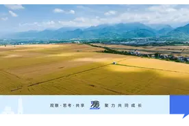 高铁穿越麦田！城市CBD的新景象图片