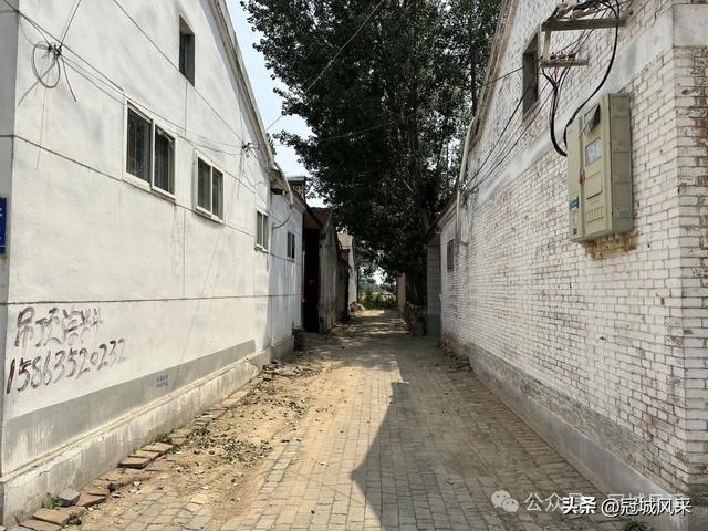 冠县乡韵·柳林镇三里屯村