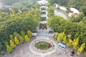 拆→开放！上海要变超大公园？曾闭门谢客，越来越多机关事业单位做出这一举动图片