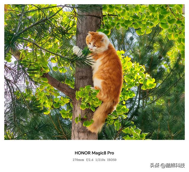 从参数怪兽到AI贴心机，荣耀Magic 8 Pro到底改变了什么？