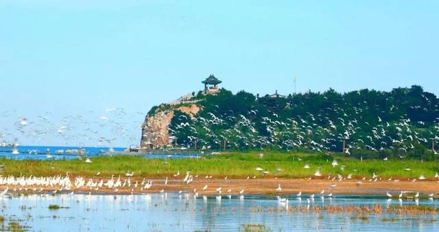 河北人口最少地级市：面积小于邢台和邯郸，常住人口不到350万