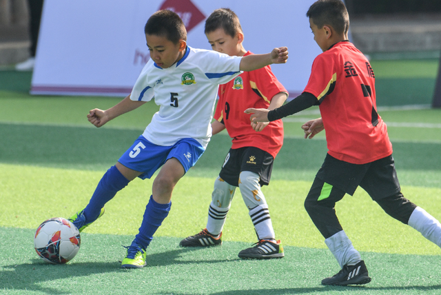 新疆12月26日资讯