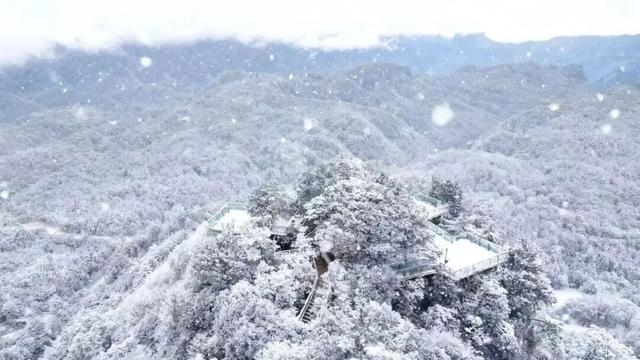 三场大戏+五大活动，宁强元旦狂欢倒计时！