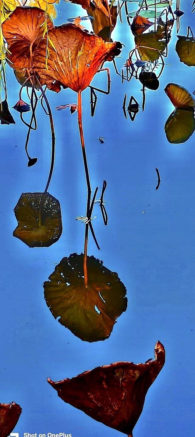 太极发劲不用硬拼！找准“腰隙”总开关，常练劲如潮涌