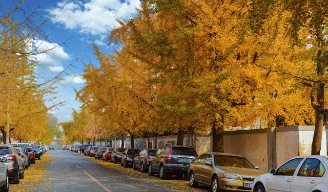 不藏了，安徽5个秋色仙境，最后一个让摄影师都舍不得离开！