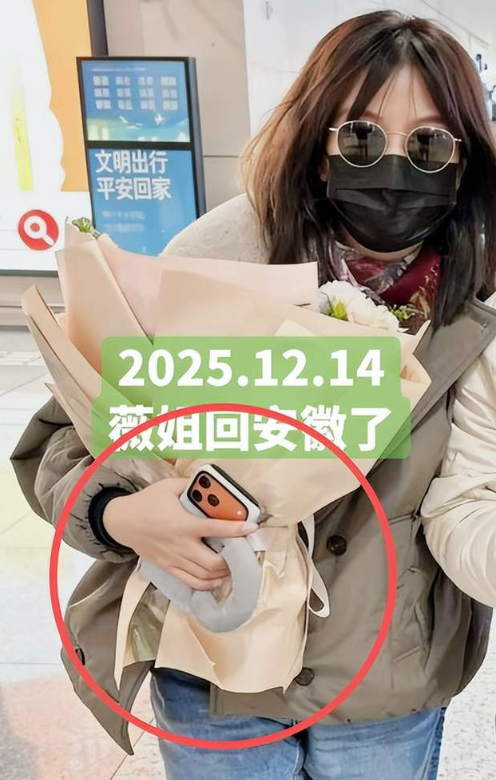 封杀四年，49岁赵薇财力状况接连被扒	，结果估计和你想得不一样