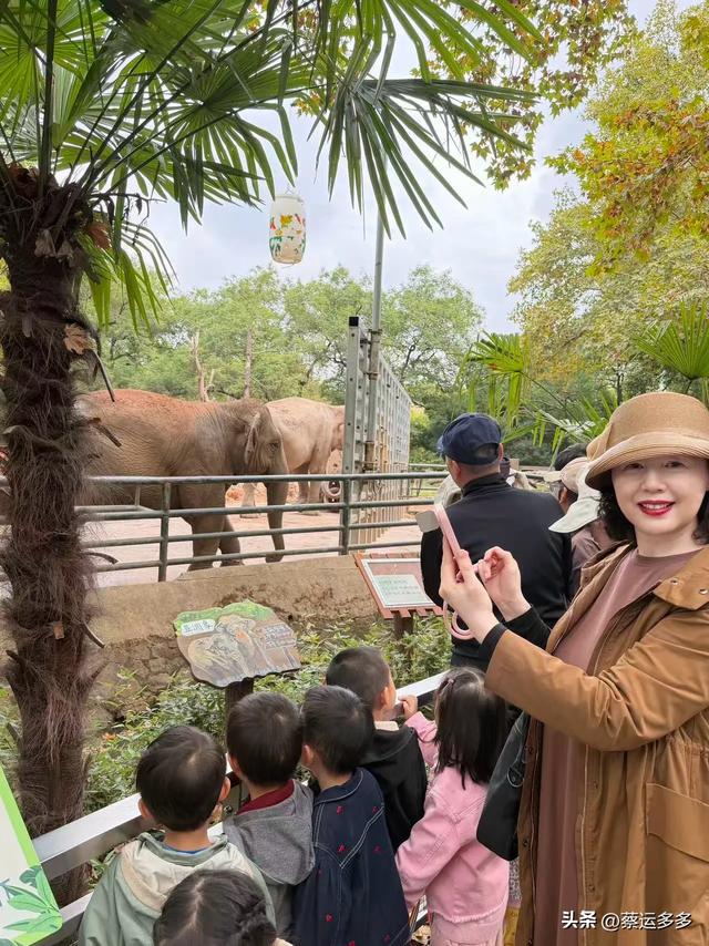 上海动物园的高颜值图鉴