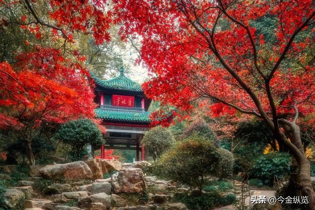 12月旅行去哪？这四季同框攻略，让你玩转冰雪、赏秋、寻花、避寒