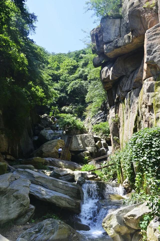 泌阳九龙瀑与池杉林：山水相依的夏日胜景