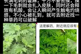 果然自然界与人类是相生相克的！原来老祖宗说有解药居然是真的图片