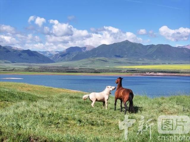 甘肃张掖：山丹马场景色宜人