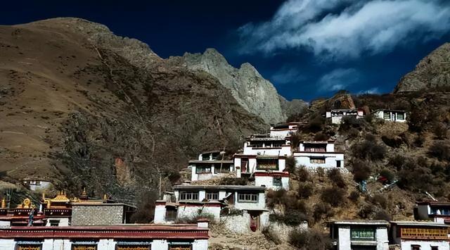 高原泡温泉竟与蛇共浴？当地人：那是药蛇别怕