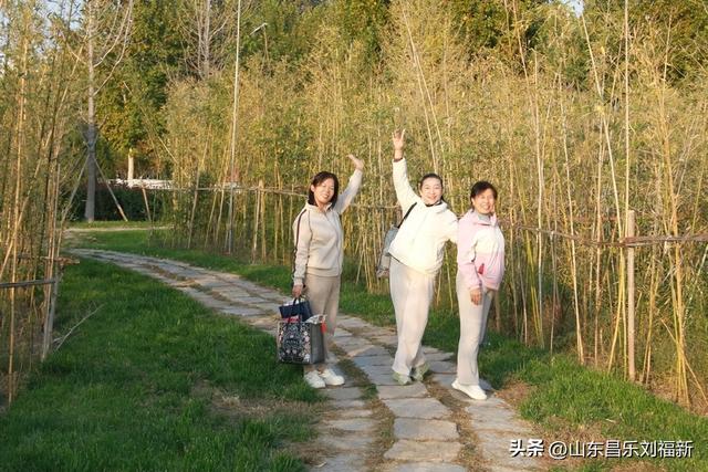 偶遇贾江虹·刘文顺先生来访