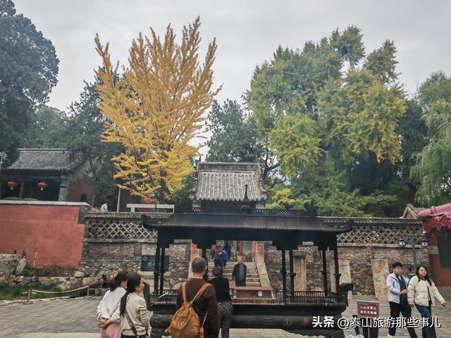 泰安：又是一年重阳时！带家中老人去哪儿走走？推荐一个免费景点