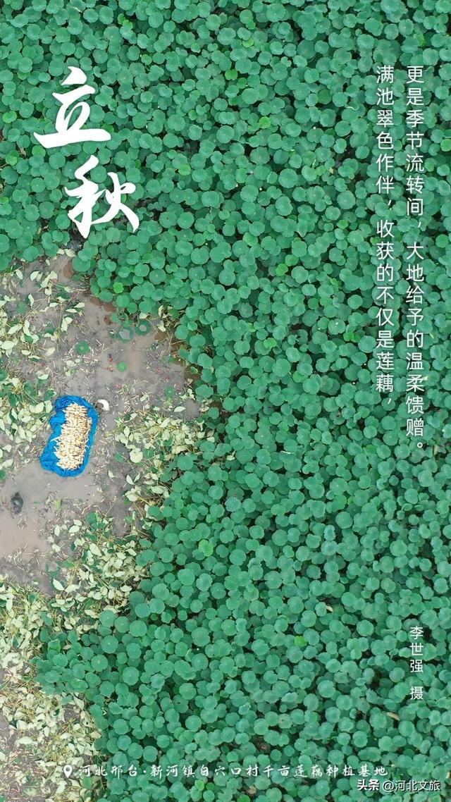 今日立秋！用河北绝美画卷开启秋天第一页