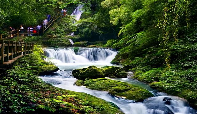 重庆避暑天堂：精选清凉胜地，逃离高温享受25℃夏日