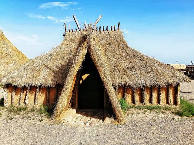 逃离冰冷洞穴，开启“巢”时代：古巢居的秘密大揭秘！