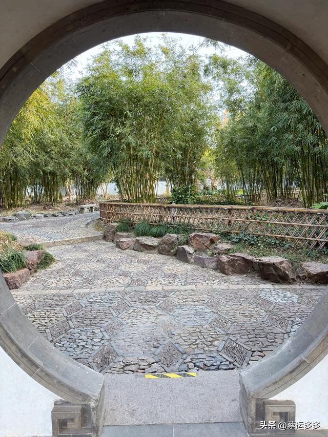 沪上园林古猗园已达颜值巅峰