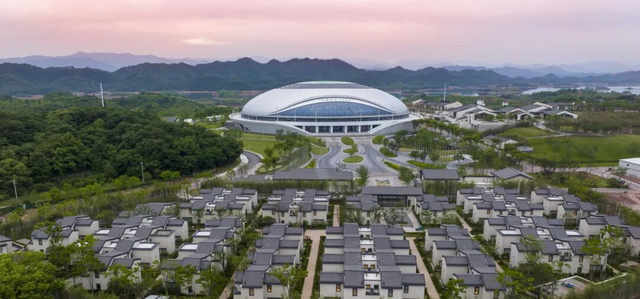 杭州秋冬的“多巴胺”美景来啦～