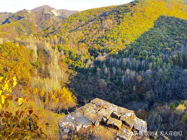 长城徒步之94：密云烧香峪、五虎门、黑谷关长城秋色