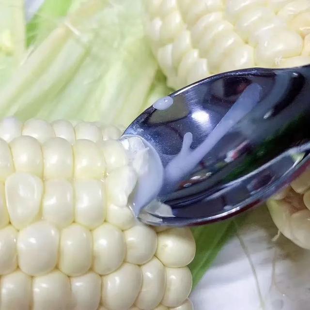 许昌亲子游：科技探秘+历史穿越+自然撒欢，一站式玩学超满足！