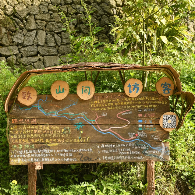 成都1.5小时可达的野山，斗底山徒步真的很酸爽！