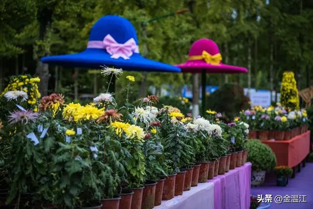 温江这个园区自带BGM！来看看音乐牧场的破圈密码→