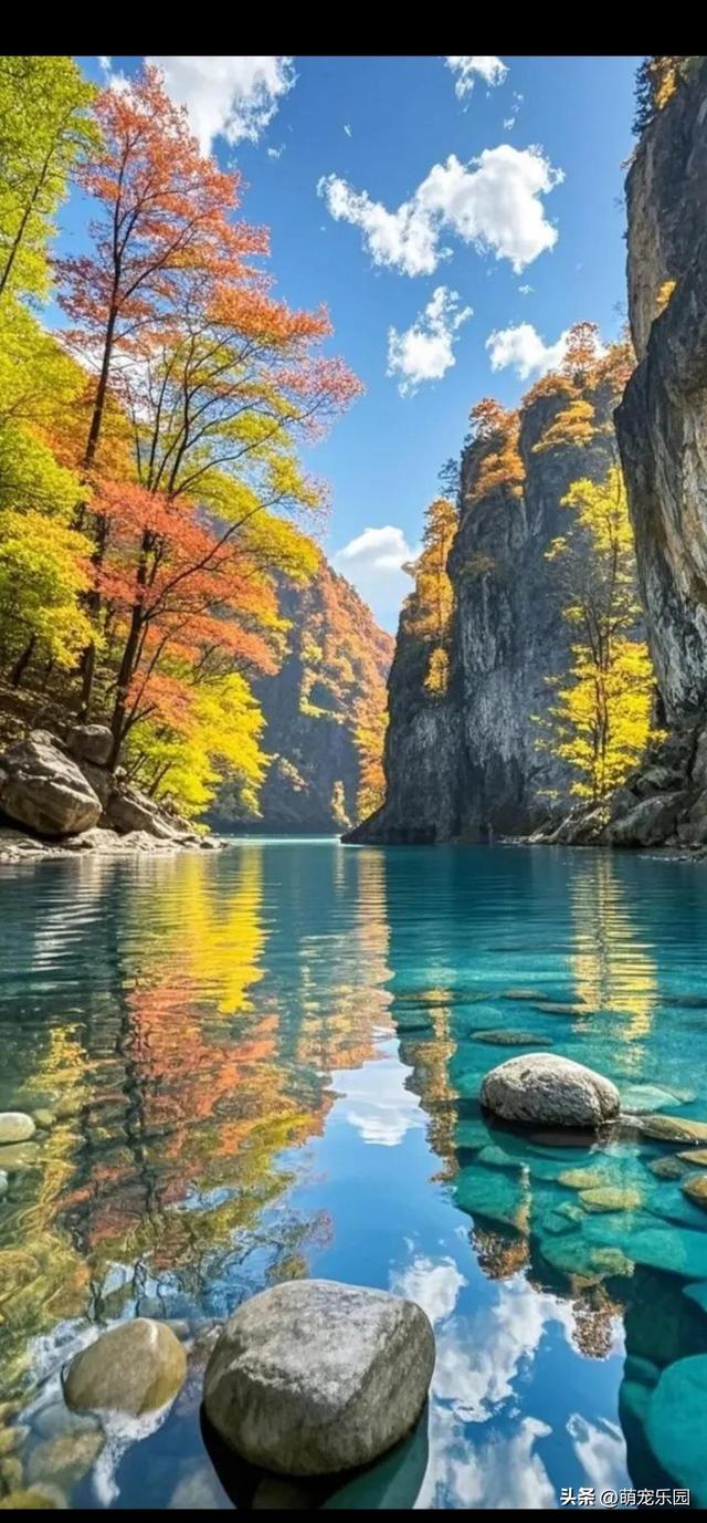 山顶古松傲然挺立，云雾缭绕如仙境，我竟品尝到超然物外的滋味