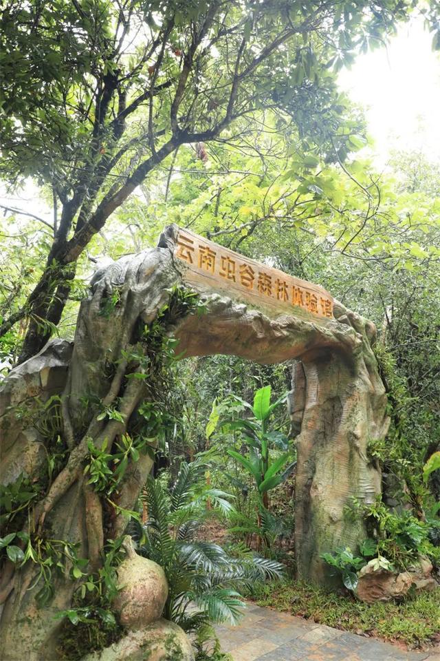 普洱太阳河森林公园联手携程景点玩乐共同打造——云南虫谷森林体验馆震撼上新！