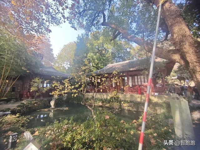 2025 杭州西湖 City Walk 留下足迹