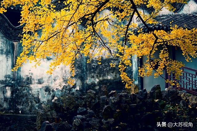 江苏秋日0元赏秋指南！15个反内卷秘境，全域美景不花1分钱