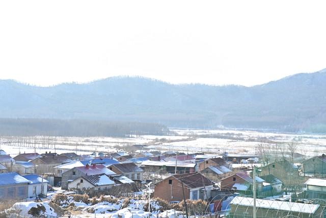 2026年“数九	”时间表来了！冬天到底冷不冷	，答案来了！