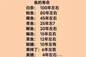 各种鱼的寿命，你知道吗？收藏起来看一看。图片