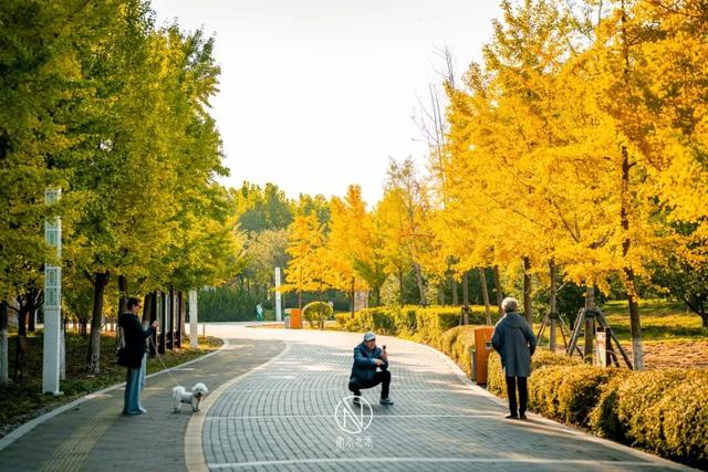 童话世界！深秋的生态城，美成了一幅画