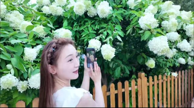 向日葵与绣球进入盛花期，快来哈尔滨市儿童公园打卡