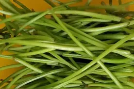 少吃豆角多吃它，1元5斤的推粪猛将！简单一炒，一口鲜嫩、满口香图片