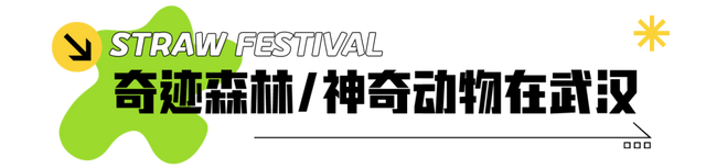 定了！木兰花谷1月17日起全城免费送票啦~