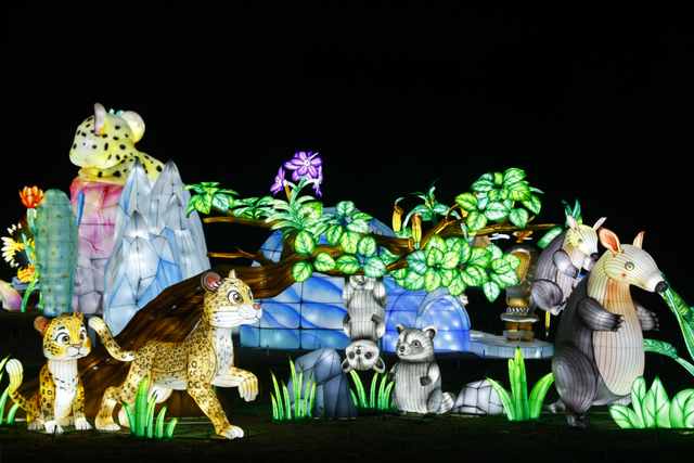 美景+彩灯！丰台这里的秋，好玩好逛——