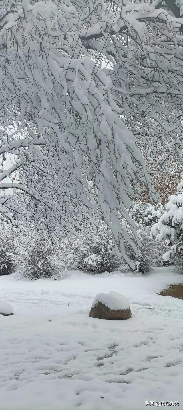 老人说就怕“小雪一日晴”，小雪天晴有啥预兆？早看早了解！
