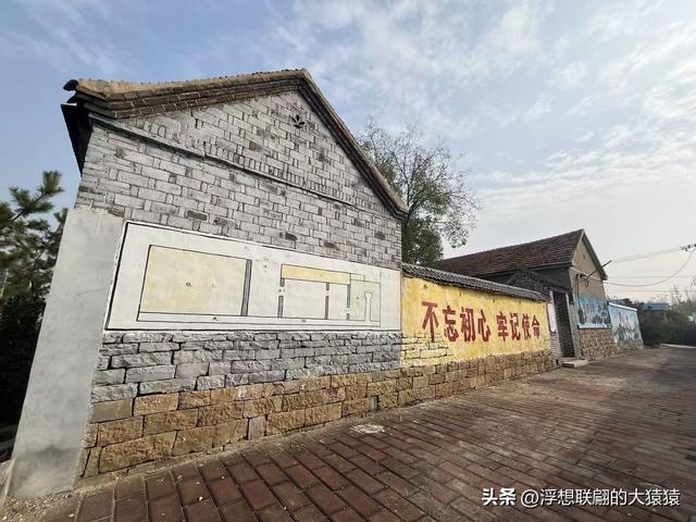 泰安肥城西陆房村里的大白菜