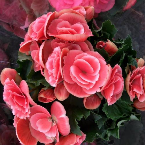 情感爆文:《爱一个人，就是愿意为他改变》