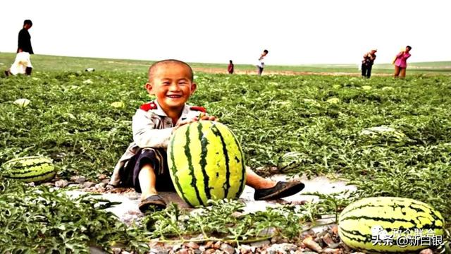 白银的夏天 原来可以这么带感