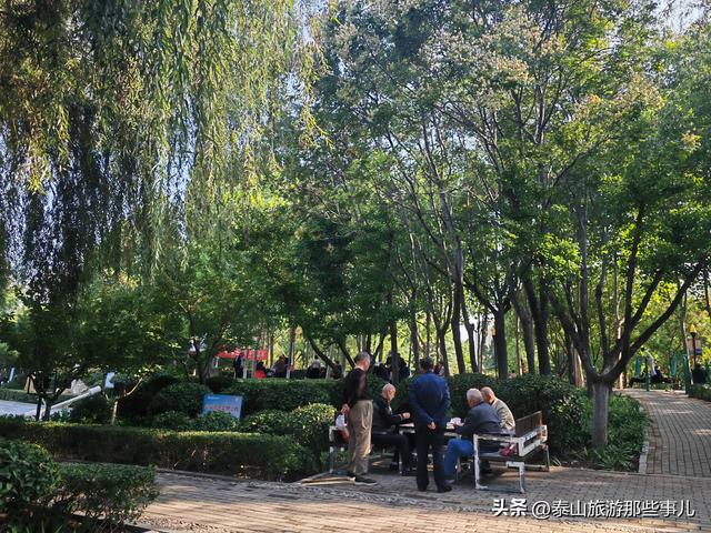 泰安：泰山下有一个免费的游园，2小时逛完，藏着泰城萌趣的一面