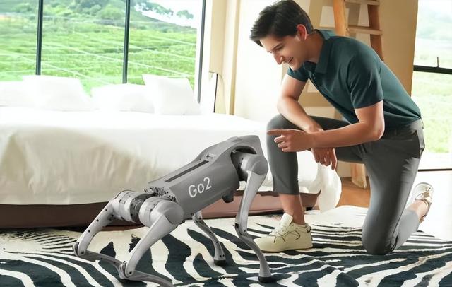 中国机器人崛起：一年卖出2.37万台四足机器狗，出货量全球第一