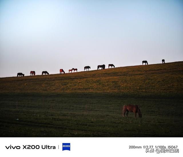 带 1.5W 和一部 vivo X200 Ultra 去新疆感受人生是旷野