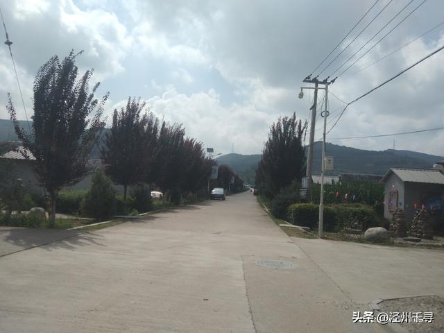 泾川县汭丰镇东王村：寻一处乡野，赴一场闲逸